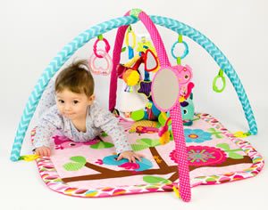 Baby Play Gym