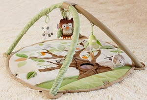 Baby Play Gym